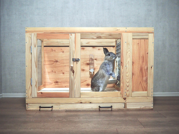 インテリアにとけこむ ハンドメイド 無垢材ペットゲージ　サークル　動物　フェレット　チンチラ 新型 ふくろう用輸送箱（キャリーケース） 「Owl shipping box」Sサイズ　猛禽 H2672067646(20400円)