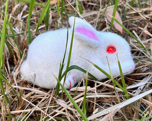 2b5bfafd25c73a2aba852df75abe27