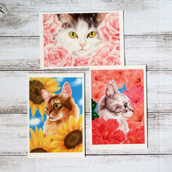 絵画1736【柔らかな時の中で】パステル 原画 真作 猫の絵 A4サイズ アート 絵画1736【柔らかな時の中で】パステル 原画 真作 猫の絵 A4サイズ