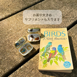 〔ピルケース〕おしゃれでかわいい！持ち運びしやすい外国切手のケース（チェコ　ヒョウ）ラッピング無料！プレゼントにも 5枚目の画像
