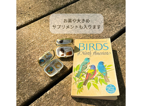 〔ピルケース〕おしゃれでかわいい！持ち運びしやすい外国切手のケース（チェコ　ヒョウ）ラッピング無料！プレゼントにも 5枚目の画像