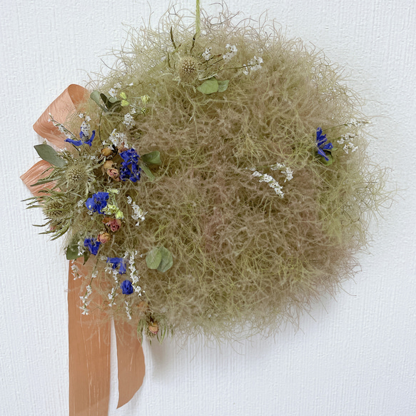 Natural＊スモークツリーデルフィニウムリース＊ドライフラワーリース