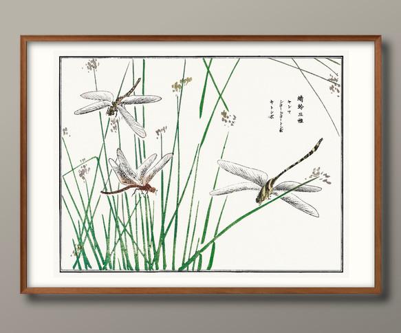 10842□ポスター アート 絵画『森本東子 トンボ 蜻蛉 昆虫』北欧
