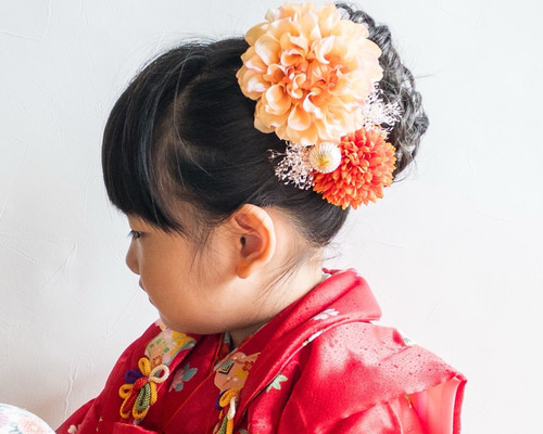 a6c3c74f0b5244261fa33eea26e6bd