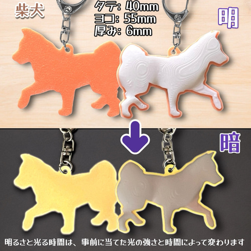 カラー蓄光（夜光） キーホルダー 1個 6犬種 5色 キーホルダー