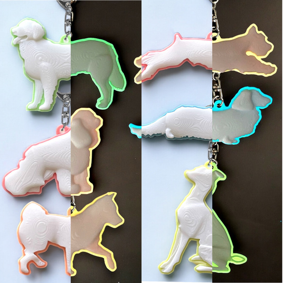 カラー蓄光（夜光） キーホルダー 1個 6犬種 5色 キーホルダー