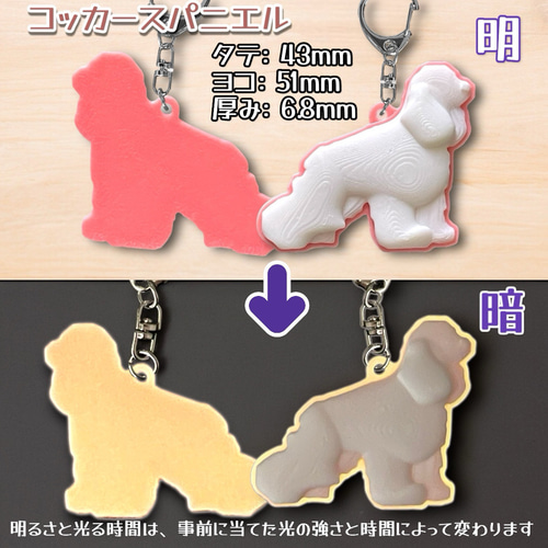 カラー蓄光（夜光） キーホルダー 1個 6犬種 5色 キーホルダー
