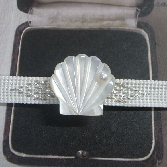 帯留め 帯留 ホタテ貝 白蝶貝 真珠 シェル 貝殻 パールホワイト 小