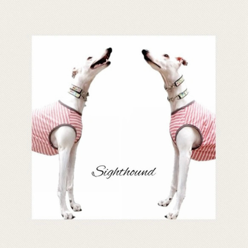 イタグレサイズ】ボーダーランニング 生成りホワイト×赤