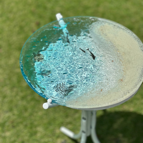 クリアビーチ イルカの親子水紋の影 穏やかな海のビーチ ガラスサイド