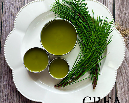 赤松 松葉バーム】野草 無添加 オーガニック 農薬不使用 赤松バーム