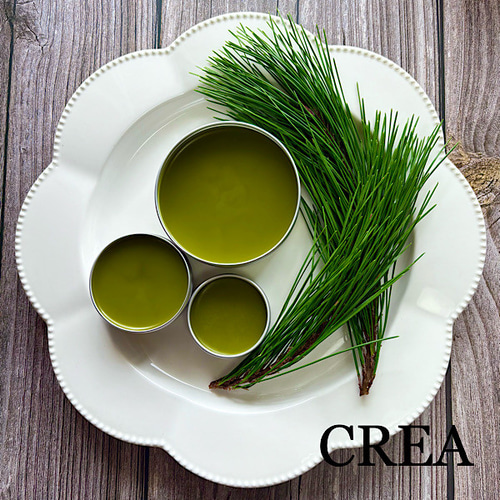 赤松 松葉バーム】野草 無添加 オーガニック 農薬不使用 赤松バーム