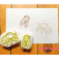 セミとセミ抜け 消しゴムはんこ はんこ・スタンプ nekotuma39 通販