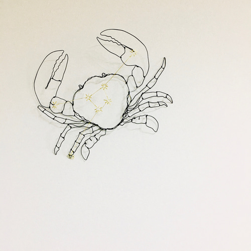 ワイヤーアート ワイヤークラフト 蟹 カニ かに 蟹座 ウォール 