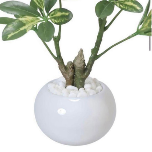 光触媒 人工観葉植物 ウォールグリーン フェイクグリーン シェフレラ