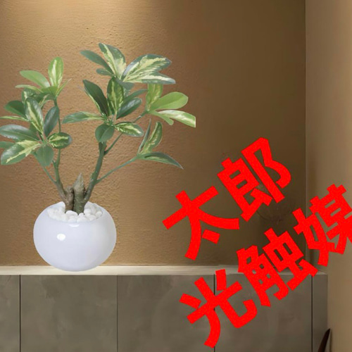光触媒 人工観葉植物 ウォールグリーン フェイクグリーン シェフレラ