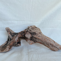 流木 Love インテリア オブジェ 置物 エアプランツ その他アート mère