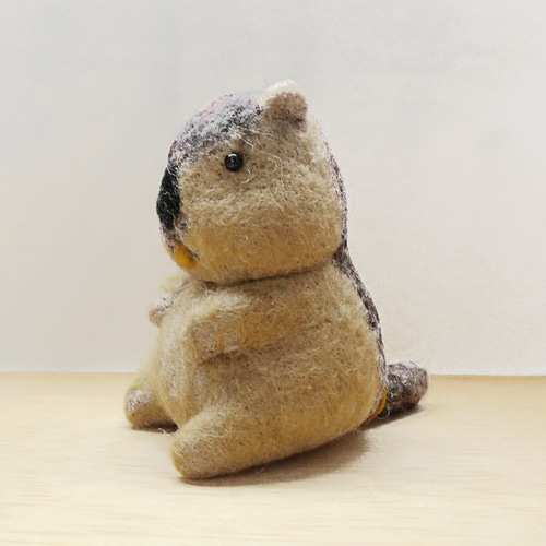 マーモット 羊毛フェルト マナウヲ（てんめのながや） 通販 17954152