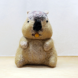 マーモット 羊毛フェルト マナウヲ（てんめのながや） 通販 17954152