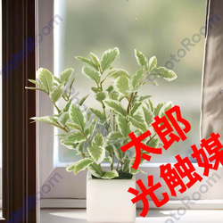 光触媒 人工観葉植物 ウォールグリーン フェイクグリーン オリーブ1.6