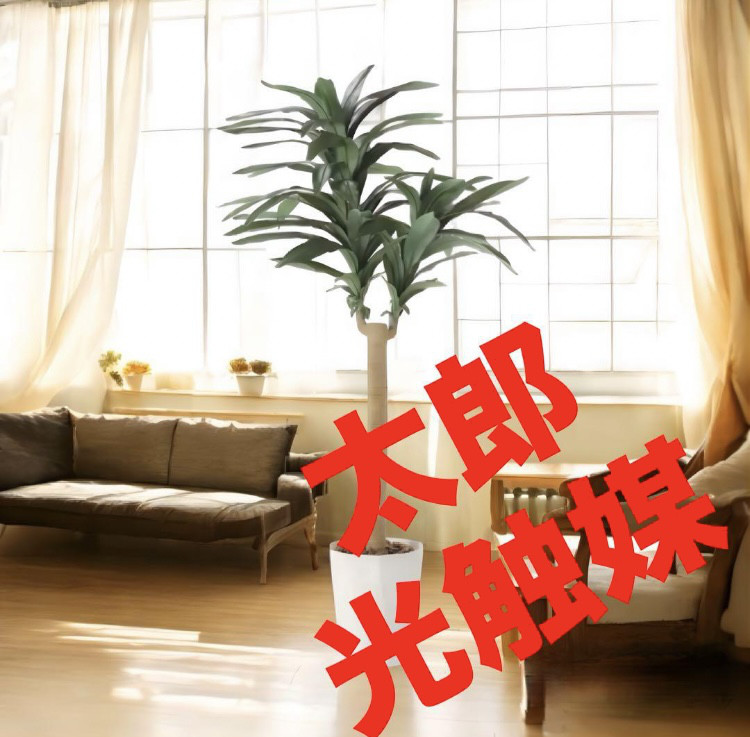 光触媒　人工観葉植物　フェイクグリーン　幸福の木　ドラセナグリーン 1.5m