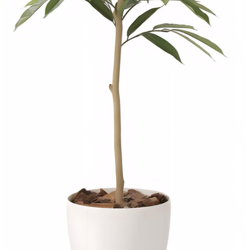 光触媒 人工観葉植物 フェイクグリーン アムステラバーキング 1.6m 