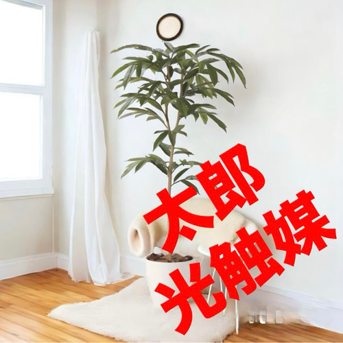 光触媒 人工観葉植物 フェイクグリーン アムステラバーキング 1.6m 