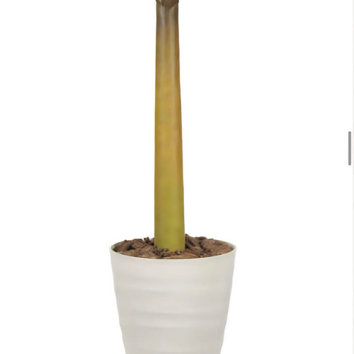 光触媒人工観葉植物ウォールグリーンフェイクグリーン特大バナナタワー