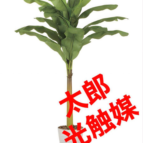 光触媒 人工観葉植物 ウォールグリーン フェイクグリーン 特大バナナ