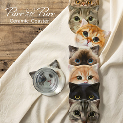 Purr Purr セラミック キャットフェイス コースター 猫 箱入り2点