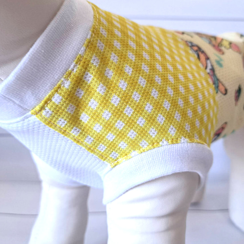 犬服～ひんやり接触冷感メッシュ生地 クマさん柄の切り替え