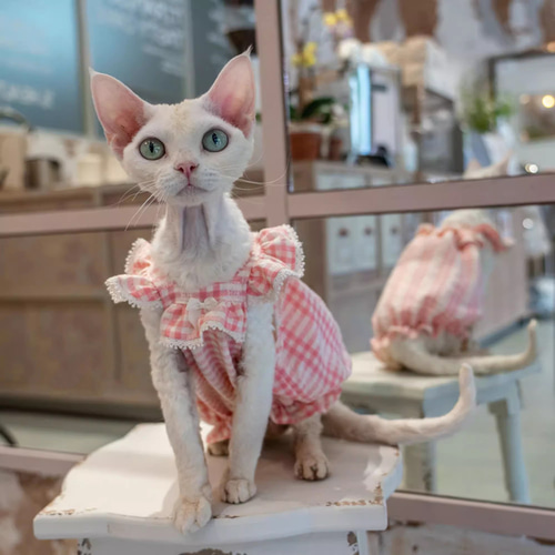 猫服 ペット服 ネコ 桜色チェック柄フリル袖猫ワンピース 姫