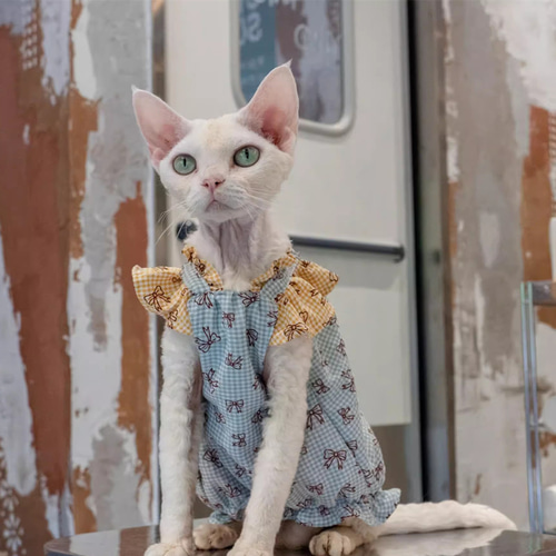 猫服 ペット服 ネコ 青リボン柄チェック柄フリル袖猫ワンピース 姫