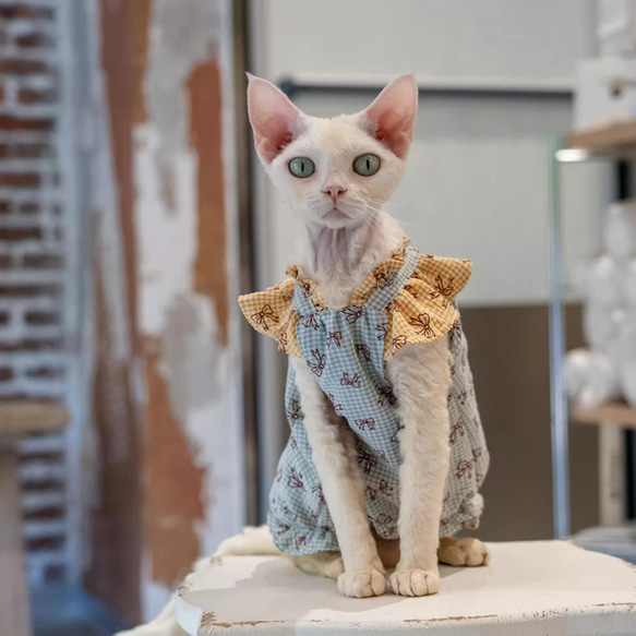 BABY　猫ちゃん柄のスカート 猫服 ペット服 ネコ 青リボン柄チェック柄フリル袖猫ワンピース