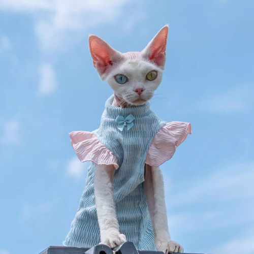 ヴィンテージ　猫の人形 水色ドレス ほうき付き 猫服 ペット服 ネコ 青蝶結び付きプリンセス風フリル袖猫ベスト
