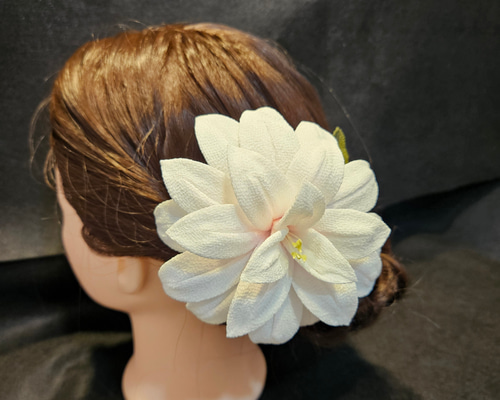 2a2839ad7085b19567d4d53e019a47