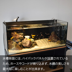 小型水槽にぴったり合う水槽台 / Teto テト / GEX ジェックス 水槽 60×20×25cm / 水槽 水槽台 3枚目の画像