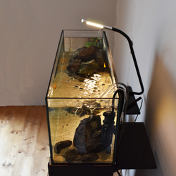 小型水槽にぴったり合う水槽台 / Teto テト / GEX ジェックス 水槽 60×20×25cm / 水槽 水槽台 13枚目の画像