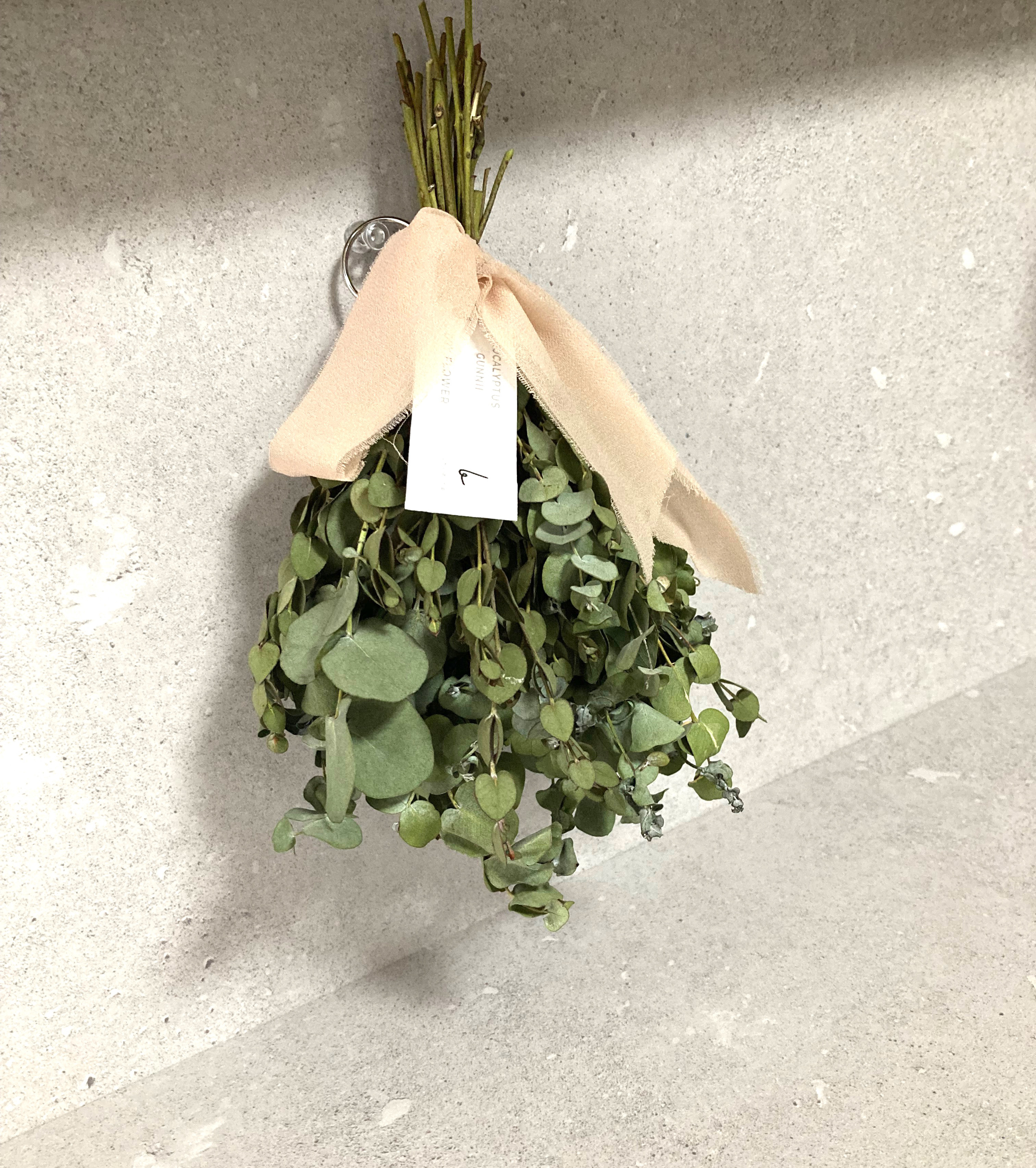 ユーカリのスワッグ ブルーファンタジアとユーカリのスワッグ 商品ページ - 土と風の植物園