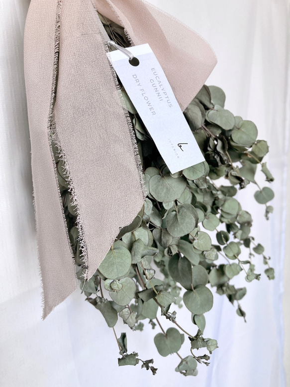 ユーカリスワッグ 5枚目の画像