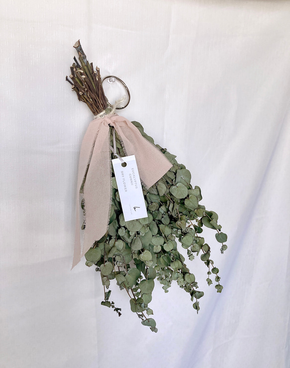 ユーカリスワッグ 2枚目の画像