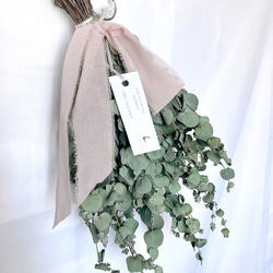 ユーカリスワッグ 3枚目の画像