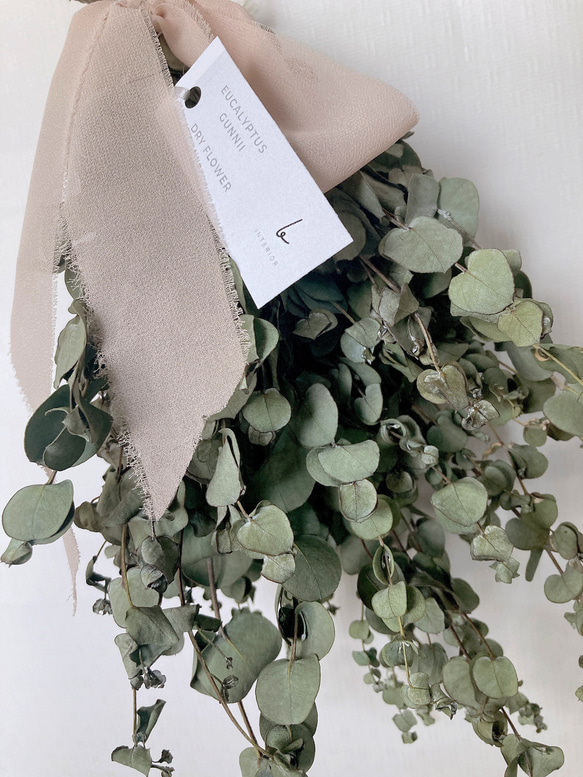 ユーカリスワッグ 4枚目の画像