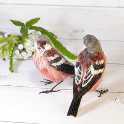 野鳥＊羊毛フェルト スズメ 羊毛フェルト 森羊のクーシャ(cuusha
