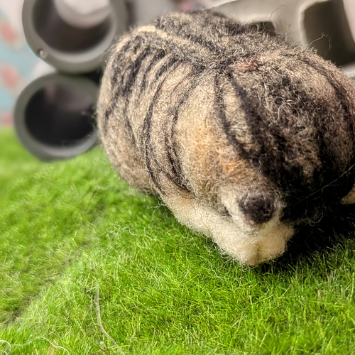 羊毛フェルト まだ眠いにゃ｡｡〇 【ごめん寝】スタイル猫ちゃん