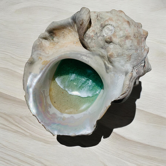 N025「食品接触可能　夜光貝レジンアート」★超立体  沖縄の海 レジンアートボード　美ら海　オーシャンアート 人気・おすすめ｜多用途・生活用品におすすめ 口コミ人気 即納 日本国内即配送