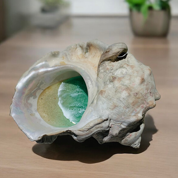 N025「食品接触可能　夜光貝レジンアート」★超立体  沖縄の海 レジンアートボード　美ら海　オーシャンアート 人気・おすすめ｜多用途・生活用品におすすめ 口コミ人気 即納 日本国内即配送