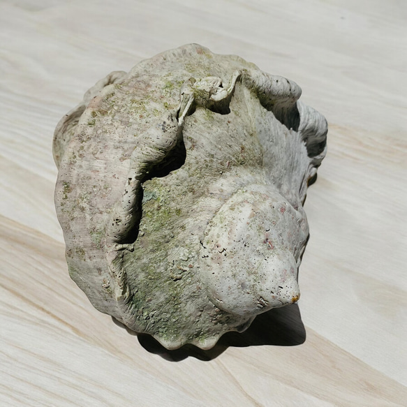 N025「食品接触可能　夜光貝レジンアート」★超立体  沖縄の海 レジンアートボード　美ら海　オーシャンアート 人気・おすすめ｜多用途・生活用品におすすめ 口コミ人気 即納 日本国内即配送