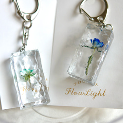 0ea821771fd4e764db2d28c2d78f48