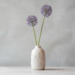 6a9138a6f55c384325e660bf4f8cf9